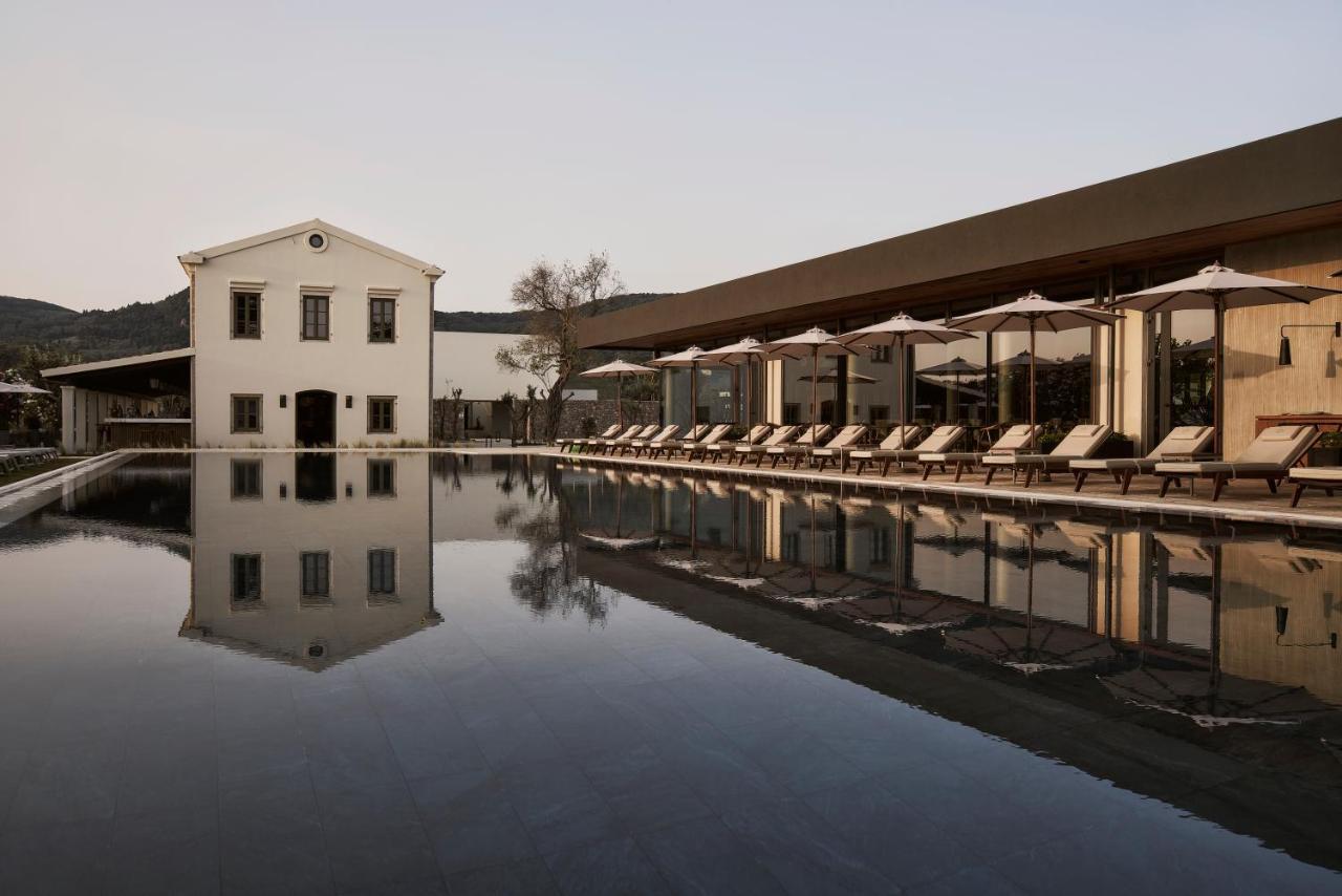 The Olivar Suites Mesongi Bagian luar foto